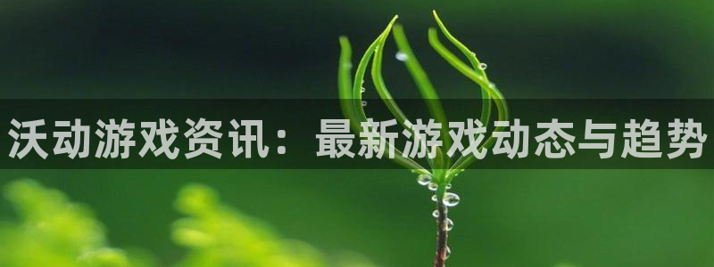 星欧娱乐登陆：沃动游戏资讯：最新游戏动态与趋势