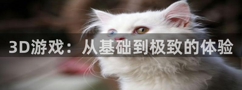 星欧娱乐下载链接：3D游戏：从基础到极致的体验