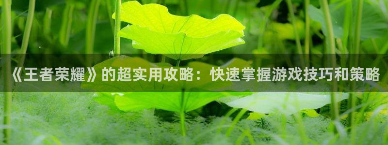 星欧娱乐4主管：《王者荣耀》的超实用攻略：快速掌握游戏技巧和