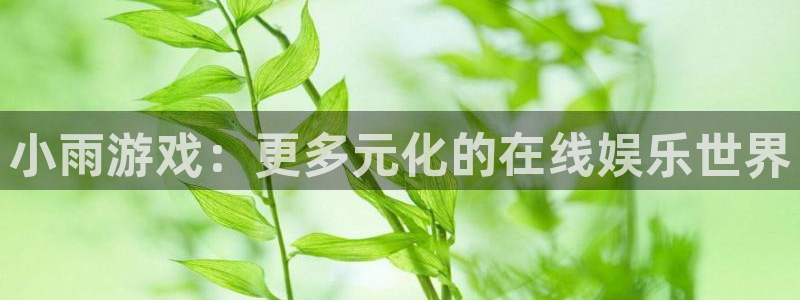 星欧娱乐app下载地址：小雨游戏：更多元化的在线娱乐世界