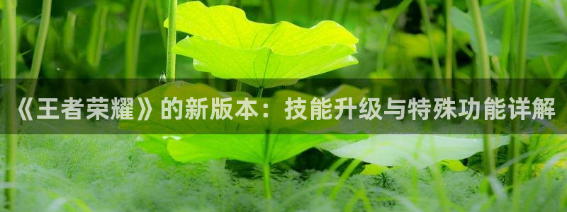 星欧娱乐网址官网：《王者荣耀》的新版本：技能升级与特殊功能详