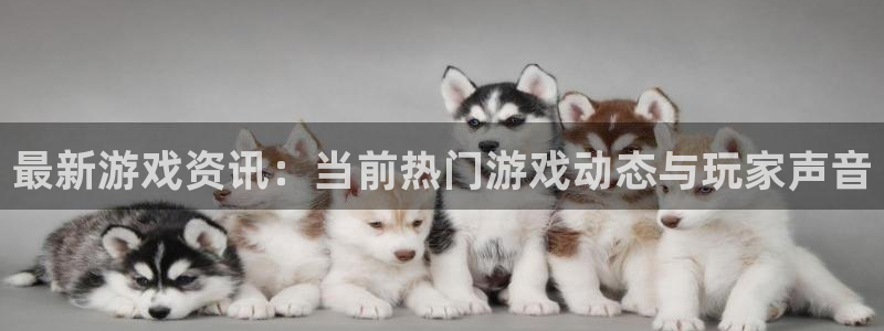 星欧娱乐登录：最新游戏资讯：当前热门游戏动态与玩家声音