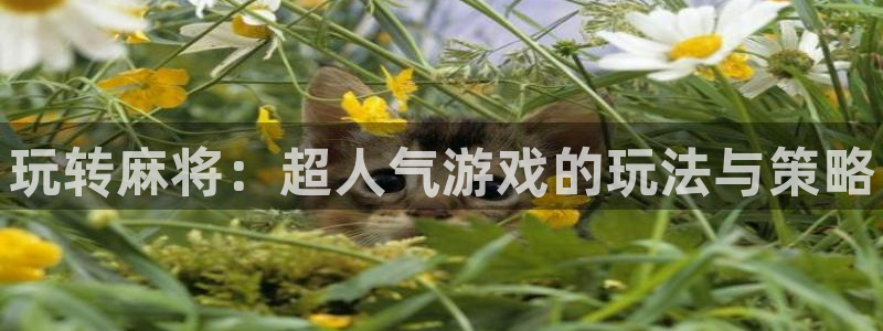 星欧娱乐怎么注册：玩转麻将：超人气游戏的玩法与策略