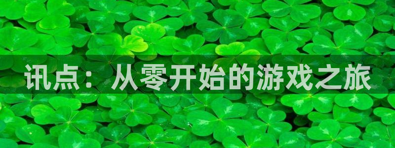 星欧娱乐注册网站：讯点：从零开始的游戏之旅