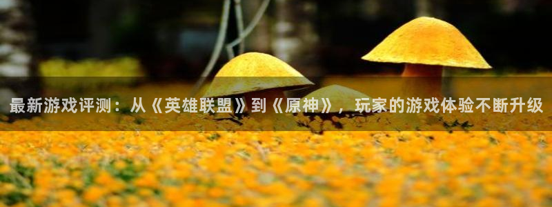 星欧娱乐平台负责人：最新游戏评测：从《英雄联盟》到《原神》，