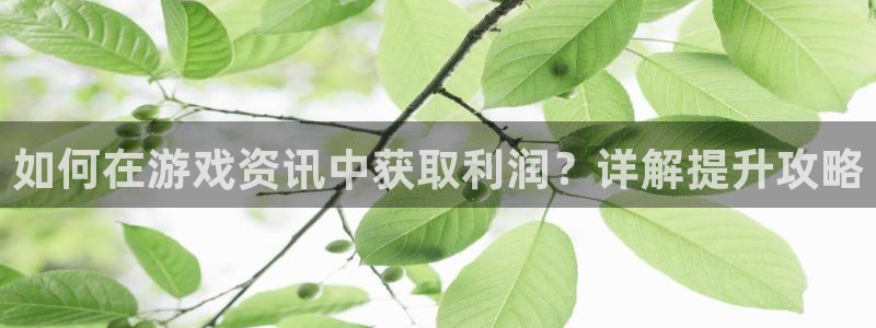 星欧娱乐app下载|下载地址：如何在游戏资讯中获取利润？详解