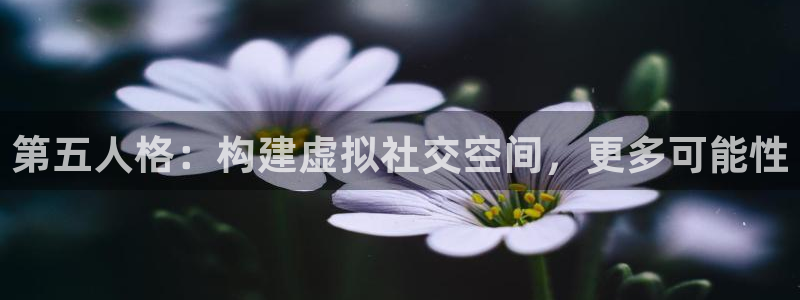 星欧娱乐创始人背景介绍是什么：第五人格：构建虚拟社交空间，更