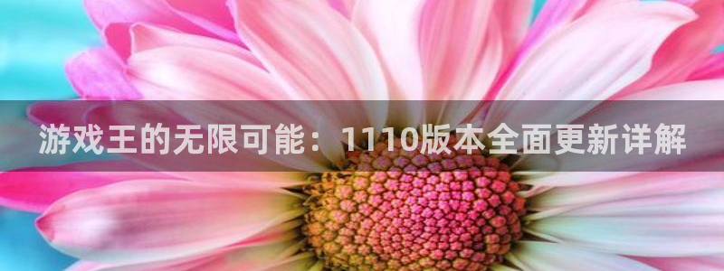星欧娱乐创新游戏是什么：游戏王的无限可能：1110版本全面更