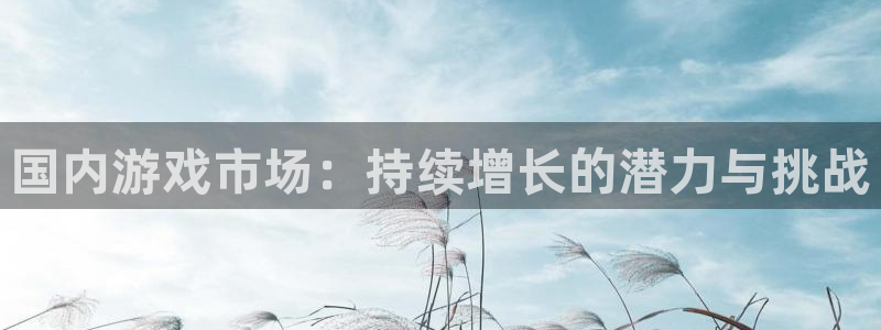星欧娱乐天.93O79最新版本更新内容介绍：国内游戏市场：持